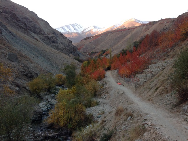   طبیعت زرد پاییزی هنگام صعود به قله توچال از مسیر آهار - شکرآب - توچال